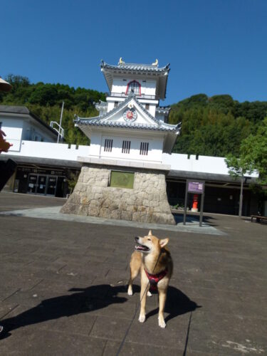 熊本県人吉市、人吉城跡地と、城下町を犬と一緒にブラブラしました。